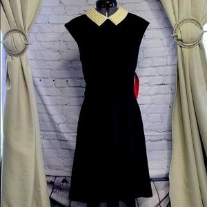 Betsey Johnson Pearl Collar Little Black A-Line Dress, Sz 8- BRAND NEW